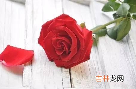 当处在五十岁的关卡时 人过五十岁，请用三种方式富养自己，这才是晚年真正的远见