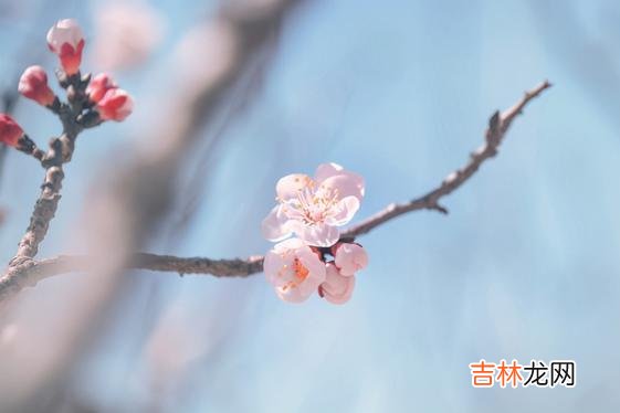 关于美好的爱情 老年人再婚有风险，选择需谨慎