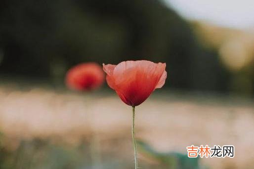 男人把你放在一段感情中，只需要看这三点便可一目了然