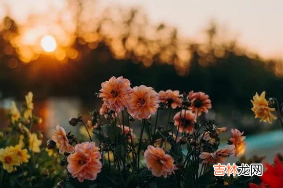 男人把你放在一段感情中，只需要看这三点便可一目了然