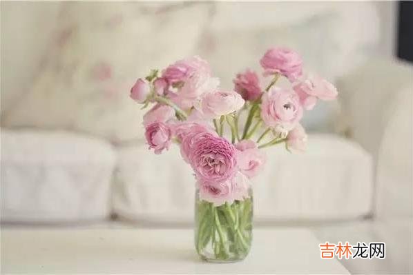 近年来剩男剩女日渐增多 相亲三次，终于明白身边的哥们为什么不娶大龄剩女