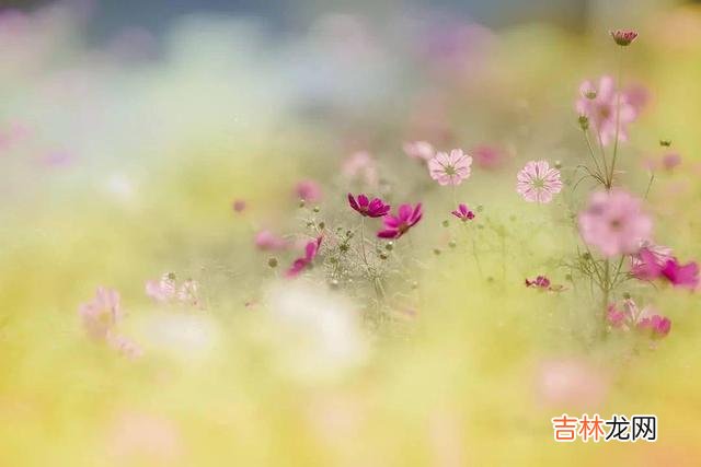 是不是富贵命，到了40岁就能看出来了，两个细节很关键