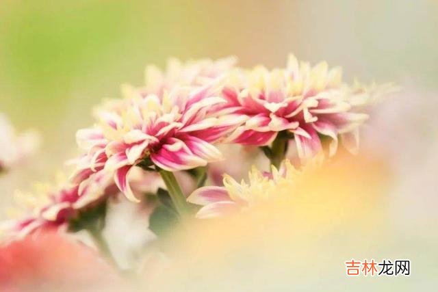是不是富贵命，到了40岁就能看出来了，两个细节很关键