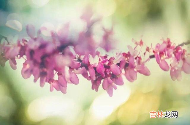 钱钟书曾在《围城》中写道：“婚姻是一座围城 两口子在一起，聪明的女人，只会在乎这三样东西
