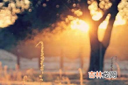 年轻时的我们总是害怕自己不合群 人生路上，我们都是孤独的行者，如人饮水冷暖自知