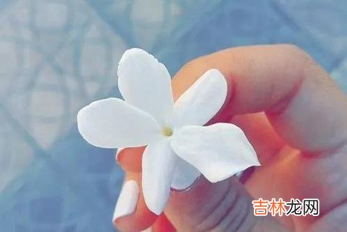 女人的第六感常常是很准的 女人有了婚外情，男人不知不觉中，留下这五个痕迹，擦不掉