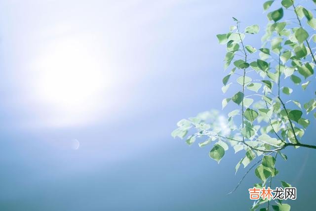 生老病死是人世间的自然规律 足够孝顺的儿女才会在父母其中一个人走后，为他们做好三件事
