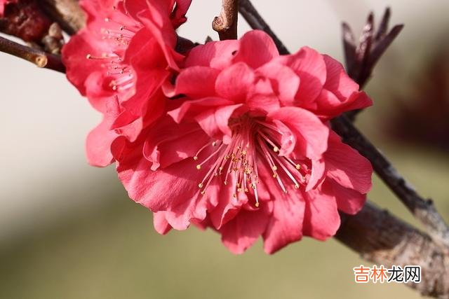很多时候，以为自己遇到了真爱，其实只是被对方算计了而已