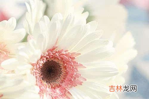 刘易斯曾说：“人生并不像火车要通过每个站似的 真正属于你的，无非只有两样东西，看开了，也就赢了