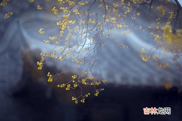 爱情这种东西 真心爱过的人,总会有一种不舍,不放心,不忘记