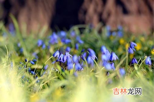 罗曼·罗兰曾说：“爱情是一种永恒的信仰。|当一个男人被征服后，最明显的信号，其实就是“怕”