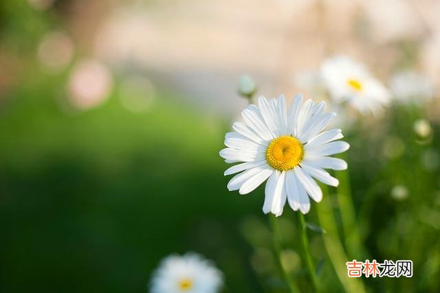 人是群居动物 当一个人开始喜欢独来独往时，你知道意味着什么吗？很现实