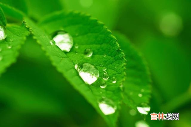 人是群居动物 当一个人开始喜欢独来独往时，你知道意味着什么吗？很现实