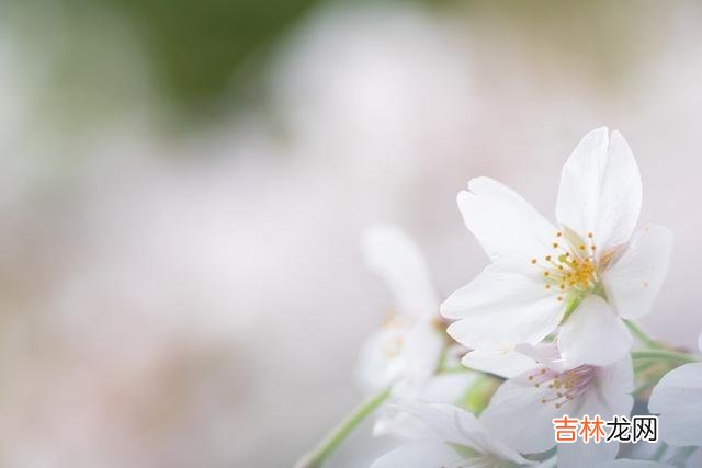 常常听到一些人说女人心 女人向你索要了下面这些东西，别怀疑，她是彻头彻尾地爱着你