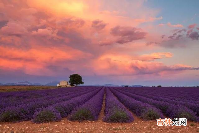 年轻的时候 人老了，真正能依靠的只有自己，学会善待自己