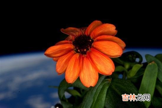 毕淑敏说过：女人难得的是智慧 结婚后，被婆家欺负，勇敢怒怼才是解决问题的捷径