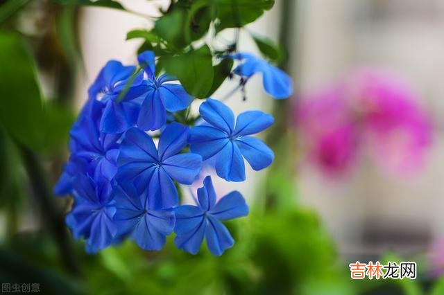 小时候我们总是无比羡慕大人 人到中年，心里很想尽孝，现实却有心无力