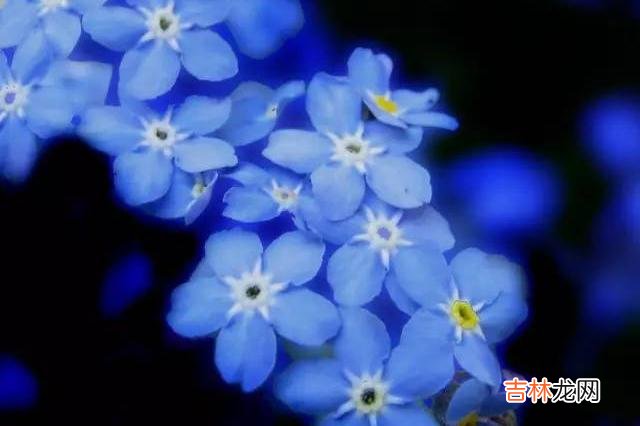 小时候我们总是无比羡慕大人 人到中年，心里很想尽孝，现实却有心无力