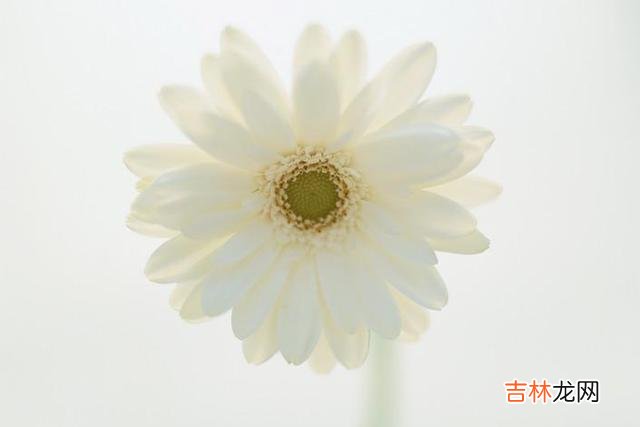 在离婚率逐年攀高的当下 中年夫妻走到最后，需要做到这三点