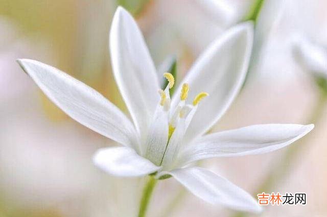 在离婚率逐年攀高的当下 中年夫妻走到最后,需要做到这三点