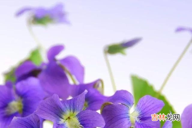 朋友圈原本被当成记录生活的地方 朋友圈飙脏话的人，都有这四种表现，你中招了吗？