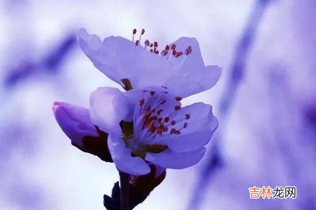 朋友圈原本被当成记录生活的地方 朋友圈飙脏话的人，都有这四种表现，你中招了吗？