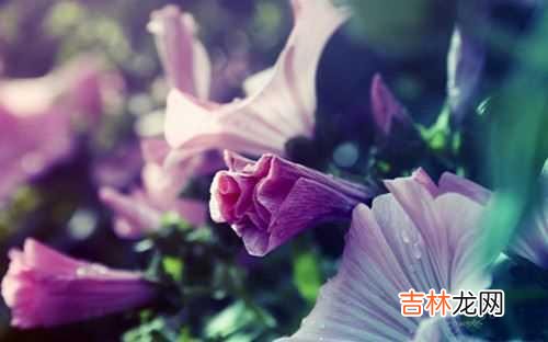 朋友圈原本被当成记录生活的地方 朋友圈飙脏话的人，都有这四种表现，你中招了吗？