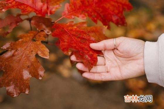 一个家庭变得越来越兴旺 一个家庭出现这三个迹象，说明家庭成员越来越冰冷，开始离心了