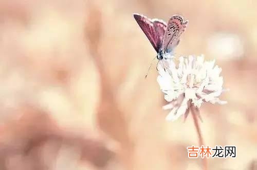 一个家庭变得越来越兴旺 一个家庭出现这三个迹象，说明家庭成员越来越冰冷，开始离心了