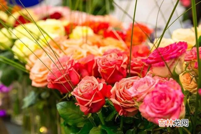 有句话说:好妻子可以旺三代。|婚姻里,善待对方,爱护对方,至少要做好以下三件事