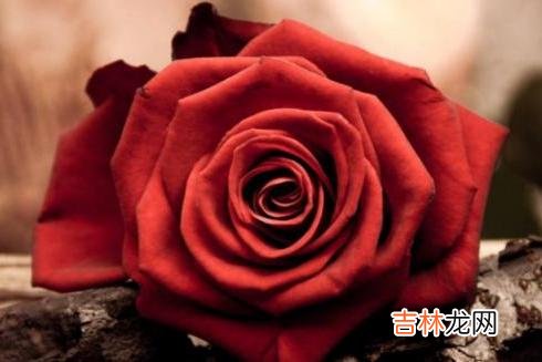 有句话说:好妻子可以旺三代。|婚姻里,善待对方,爱护对方,至少要做好以下三件事