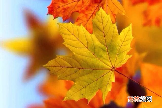 在东野圭吾的长篇小说《红手指》里 人到晚年，别炫耀自己的年轻时的辉煌成绩