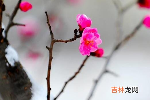 一个女人过得好不好 一个女人过得好不好,关键不在于说了什么,而在于具体的状态