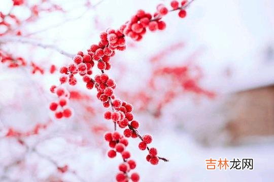 近期邻居老太闹离婚的新闻 婚姻是爱情的坟墓，可男人也要谨记自己的责任和义务