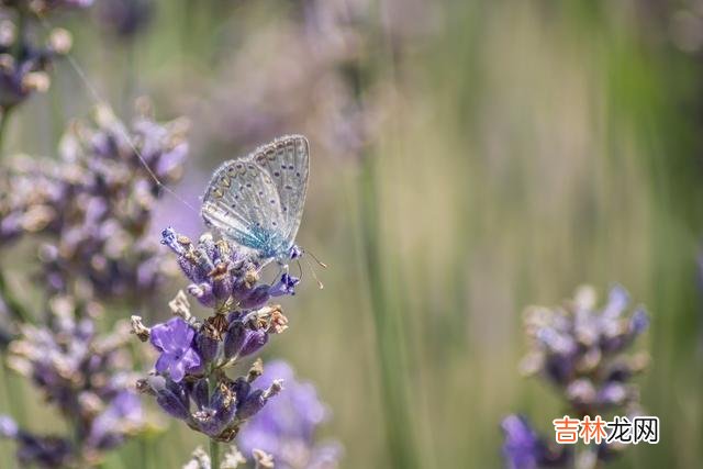 林子大了什么鸟都会有。|面对这种人，最好走远一点，没必要跟对方来往