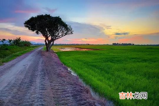 人生很长 嫉妒心强的人，多半面善心恶，离得越远越好