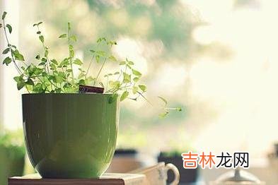 人生很长 嫉妒心强的人，多半面善心恶，离得越远越好