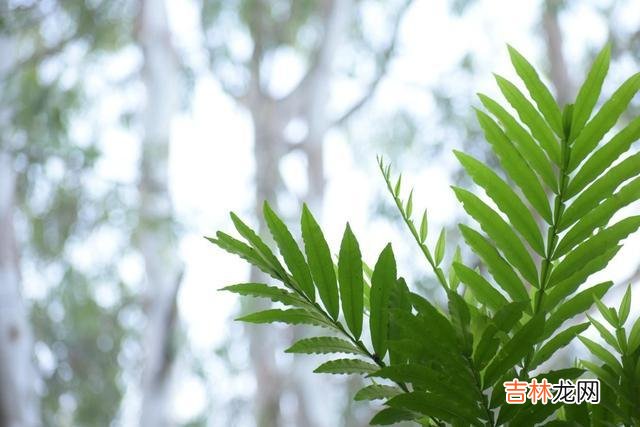 人生很长 嫉妒心强的人，多半面善心恶，离得越远越好