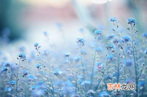 很多父母做了父母以后 晚年越是过得幸福的老人，越懂得其中的道理