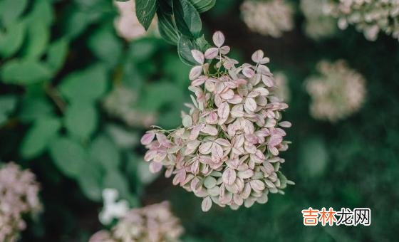 随着时代的进步和发展 30岁还没结婚,男人更着急,女人却无所谓