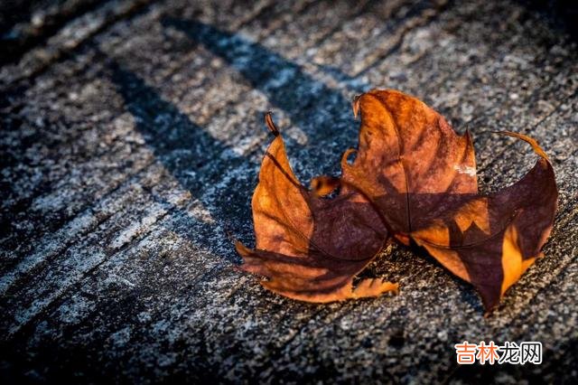 断联后，他若有这些举动，可见爱你很深，十有八九把你当真爱了