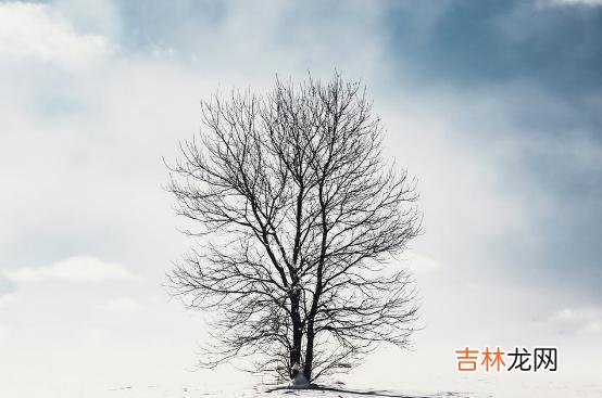 一个男人跟你断联后，依然有三个举动，可见他爱你入骨了