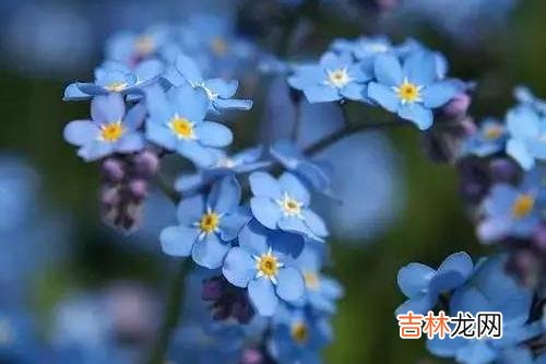 女人真正的美从来不在于外在 三十多岁的女人，真正有味道的女人，不在于年龄，而在于心性