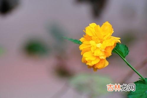 每当过年的时候 人到中年，真的不能和亲戚走得太近，才能避免吃亏