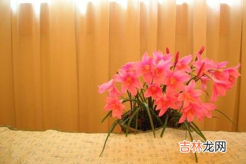 人到中年，少了和朋友之间的交流，生活反而更加丰富