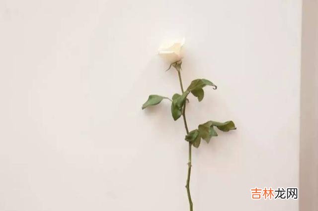 男人和女人的思维模式是不一样的 女人如果能在以下两方面宽松一点，那么男人会更加爱你