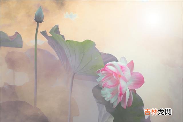 男人和女人的思维模式是不一样的 女人如果能在以下两方面宽松一点，那么男人会更加爱你