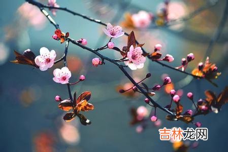 很多人总觉得 男人愿意为女人花钱，不能主动给你以下这些，也未必算得上是真爱