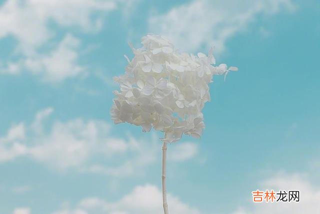无论恋爱还是婚姻 背叛只有零次和无数次，这句话的内核与破窗效应的原理不谋而合