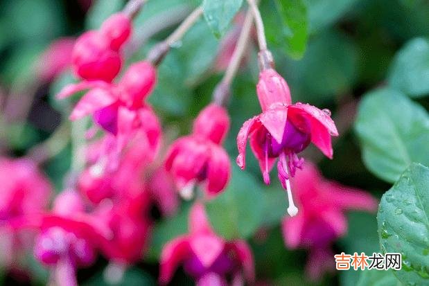 古来成大事者 一个女人懂得在这三件事上安静,远没看上去那么简单